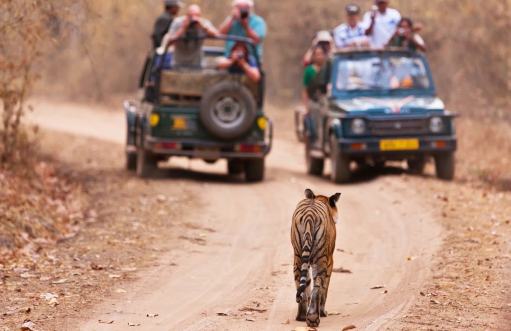 lta-ranthambore-park3