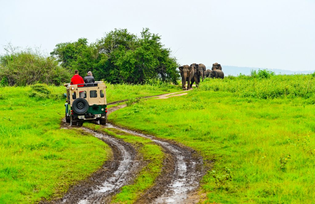 lta-sri-lanka3