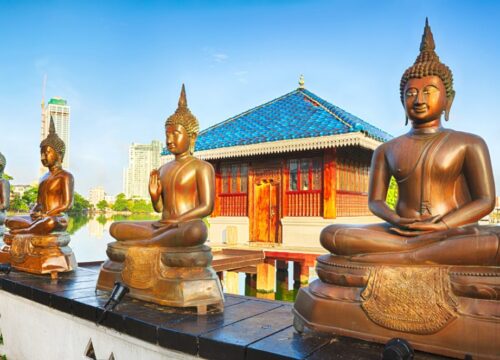 11 Day Sri Lanka Tour