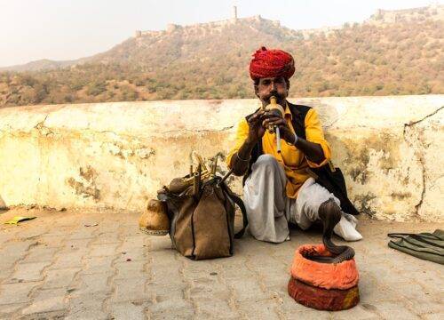 19 Day North & South India