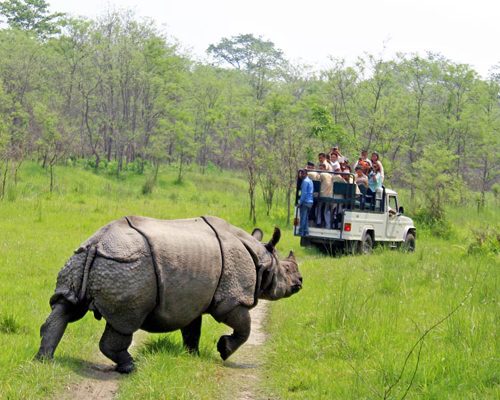 Chitwan-nepal-tour